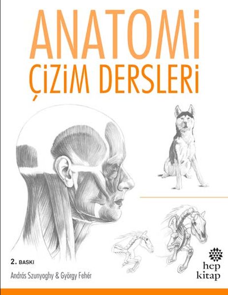 anatomi-cizim-dersleri