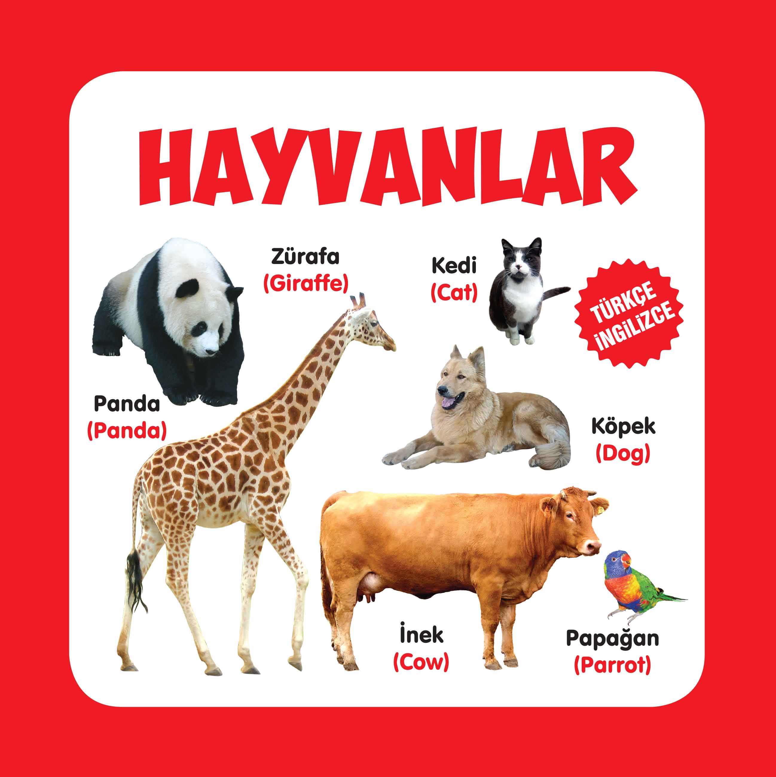 hayvanlar-turkce-ingilizce