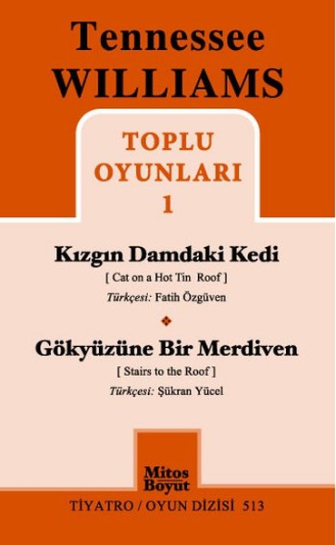 toplu-oyunlari-1-kizgin-damdaki-kedi-gokyuzune-bir-merdiven