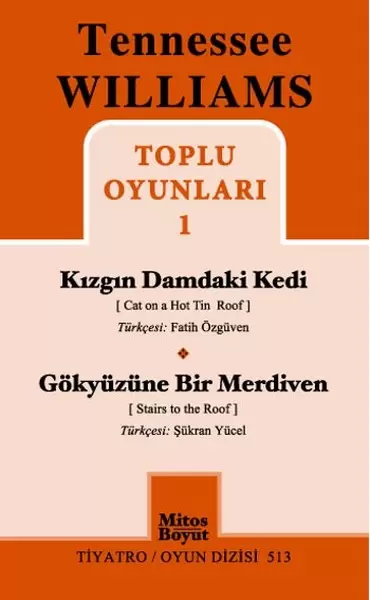 toplu-oyunlari-1-kizgin-damdaki-kedi-gokyuzune-bir-merdiven