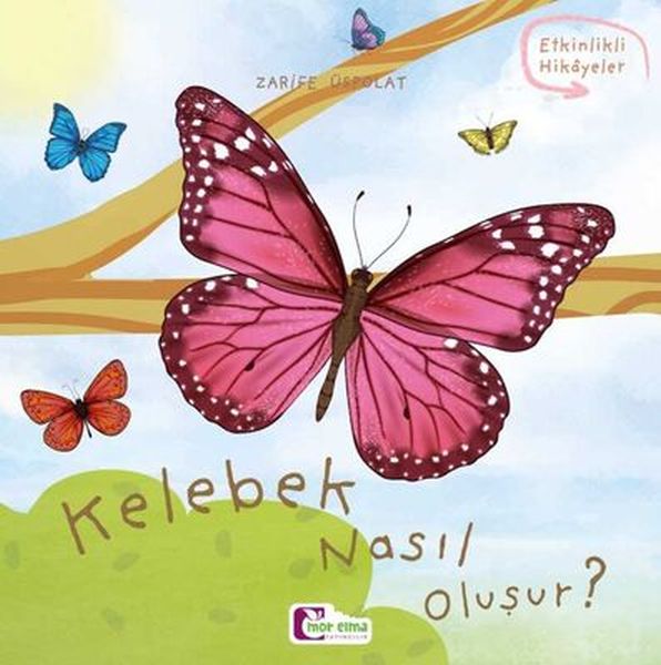 olusum-hikayeleri-kelebek-nasil-olusur