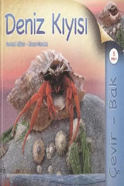 cevir-bak-deniz-kiyisi