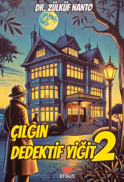 cilgin-dedektif-yigit-2