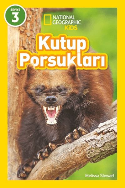 kutup-porsuklari-national-geographic-kids