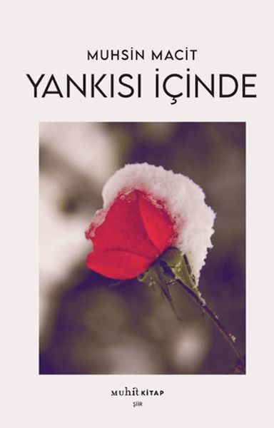 yankisi-icinde