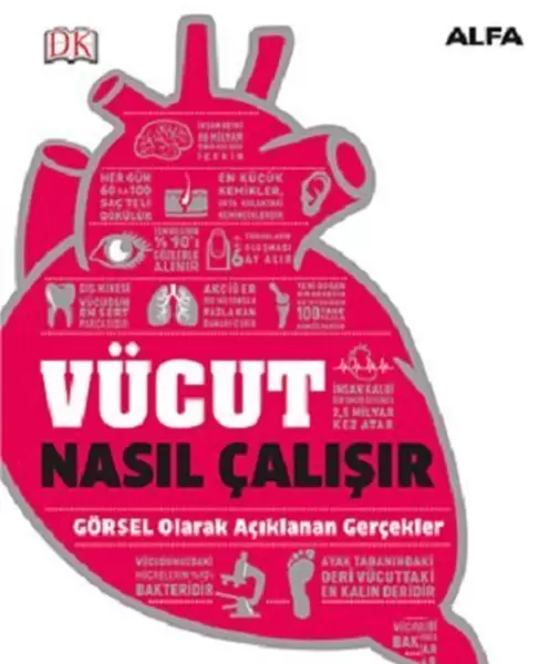 vucut-nasil-calisir