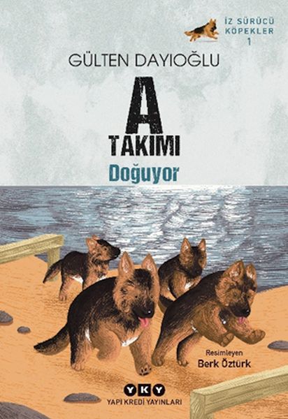 a-takimi-doguyor-iz-surucu-kopekler-1