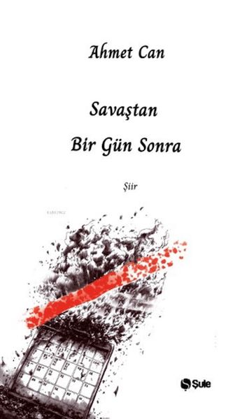 savastan-bir-gun-sonra