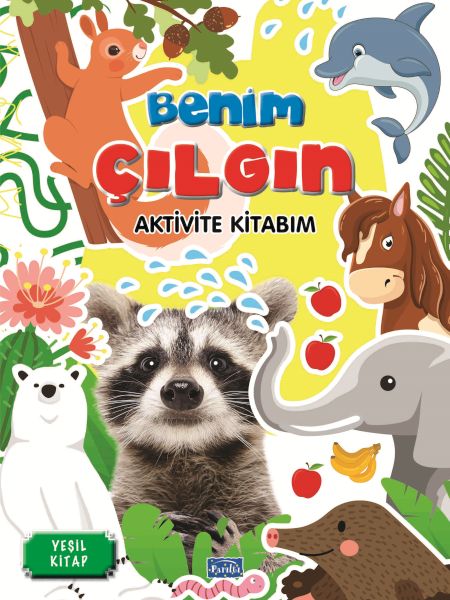 benim-cilgin-aktivite-kitabim-yesil-kitap