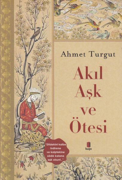 akil-ve-ask-otesi