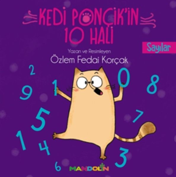 kedi-poncik-in-10-hali-sayilar