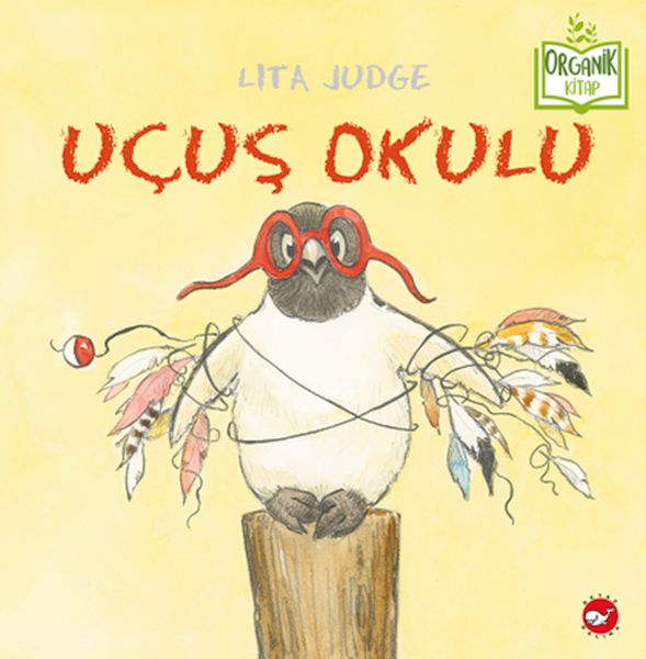 ucus-okulu-organik-kitaplar