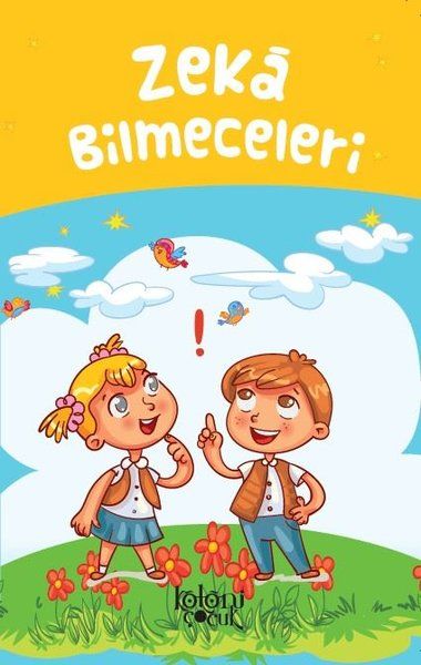 zeka-bilmeceleri