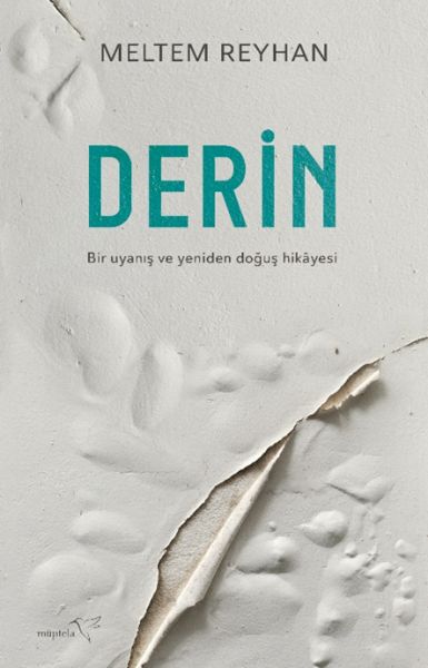 derin-228636