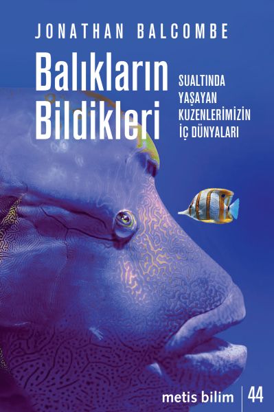 baliklarin-bildikleri-sualtinda-yasayan-kuzenlerimizin-ic-dunyalari