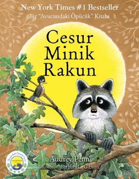 cesur-minik-rakun