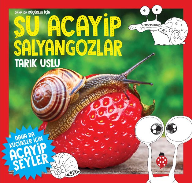 daha-kucukler-icin-su-acayip-salyangozlar