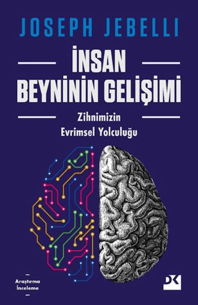 insan-beyninin-gelisimi