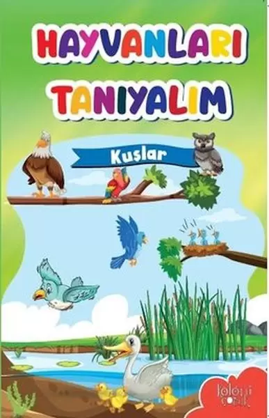 muhtesem-cizimler-ve-kolay-anlatim-ile-hayvanlari-taniyalim-kuslar