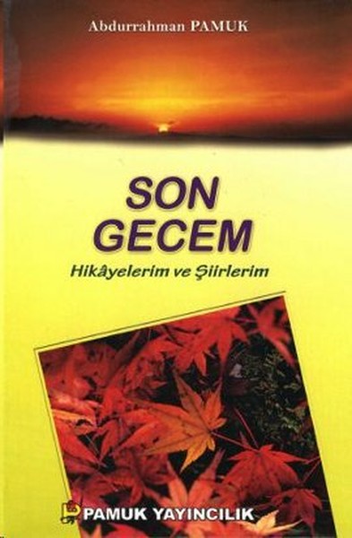 son-gecem-hikayelerim-ve-siirlerim