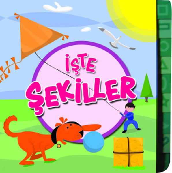 iste-sekiller