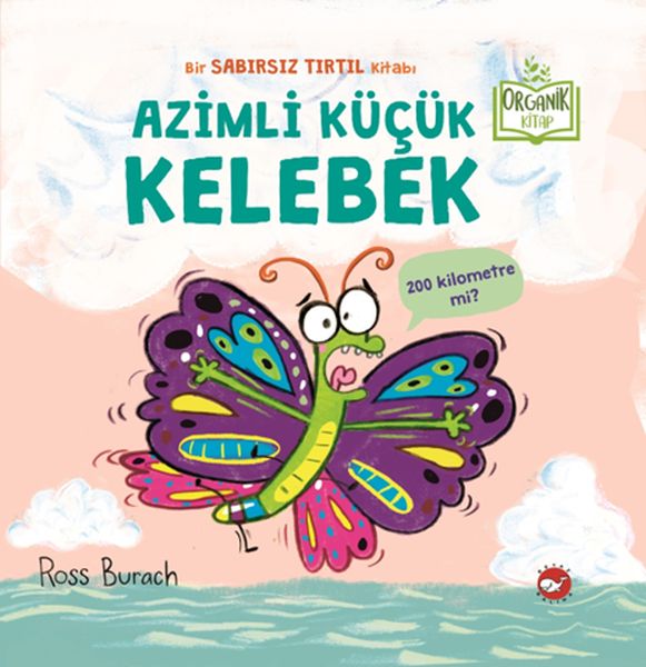 azimli-kucuk-kelebek