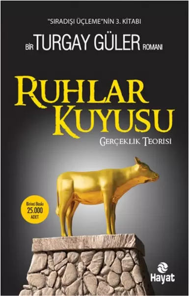 ruhlar-kuyusu-gerceklik-teorisi