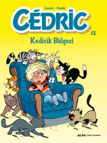 cedric-12-kedicik-bolgesi
