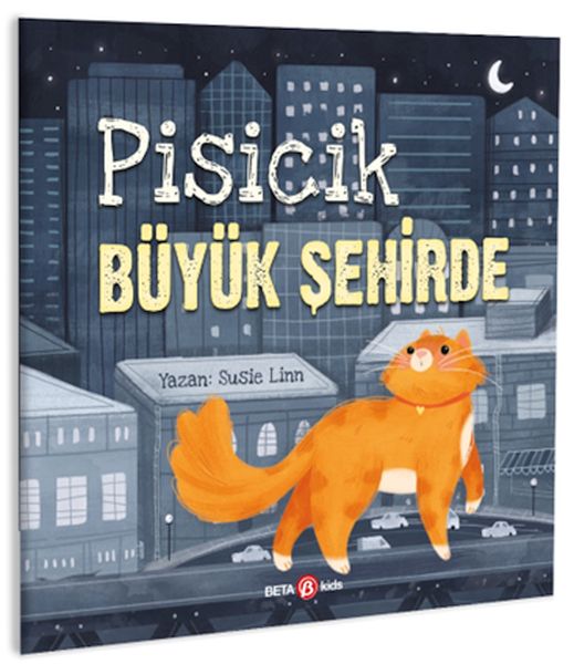 pisicik-buyuk-sehirde