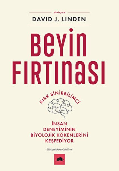 beyin-firtinasi-205284