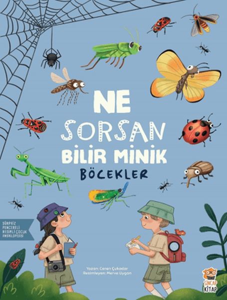 ne-sorsan-bilir-minik-bocekler