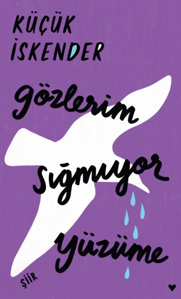 gozlerim-sigmiyor-yuzume-ciltli