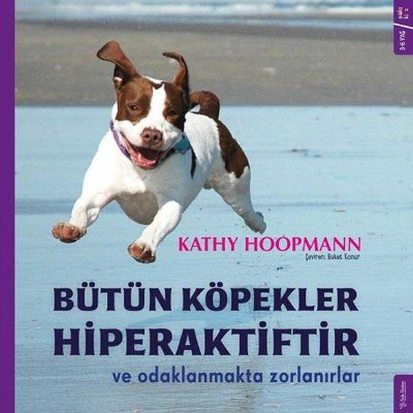 butun-kopekler-hiperaktiftir-ve-odaklanmakta-zorlanirlar