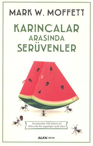 karincalar-arasinda-seruvenler