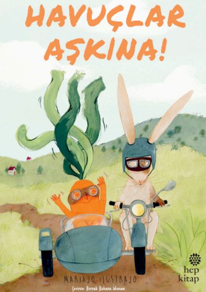 havuclar-askina