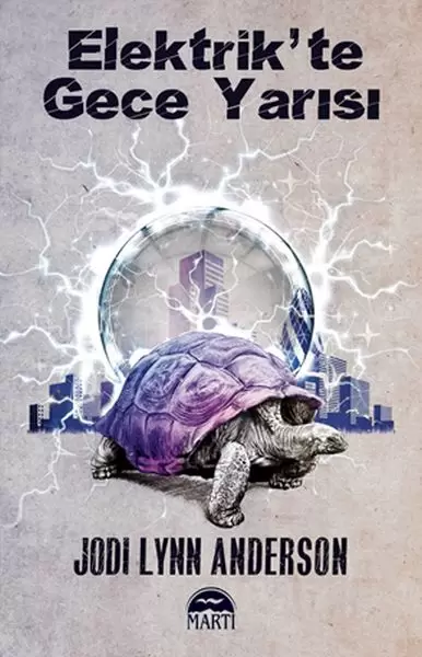 elektrik-te-gece-yarisi