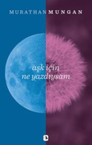 ask-icin-ne-yazdiysam