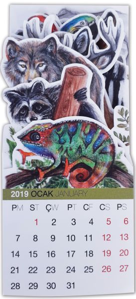 cep-takvimi-2019-2020-renkli-world-of-animals