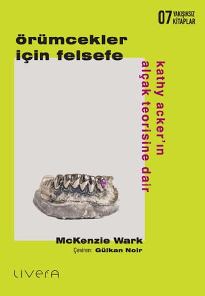 orumcekler-icin-felsefe-kathy-acker-in-alcak-teorisine-dair