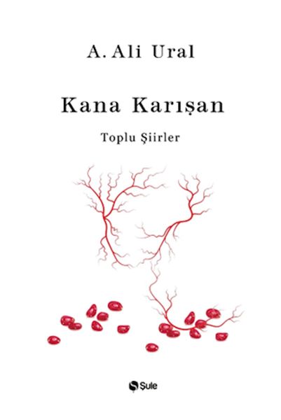 kana-karisan-ciltli-224376