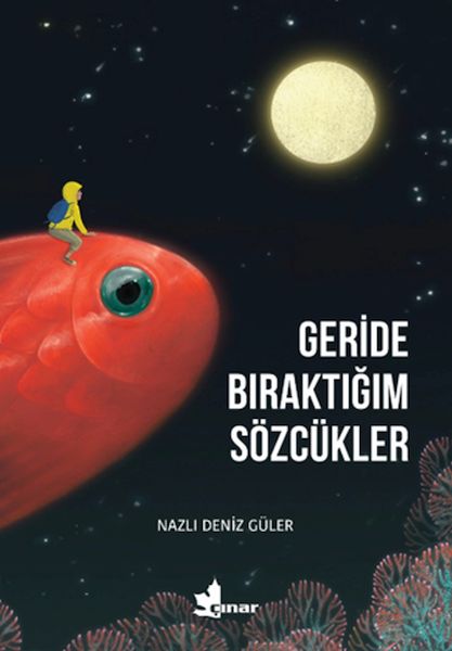 geride-biraktigim-sozcukler