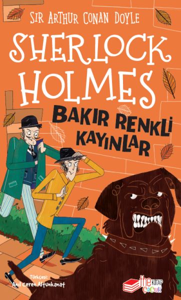 sherlock-holmes-bakir-renkli-kayinlar