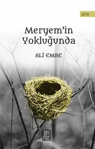 meryem-in-yoklugunda