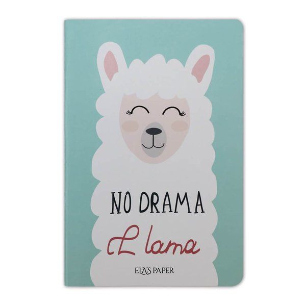 lama-notebook-su-yesili-defter