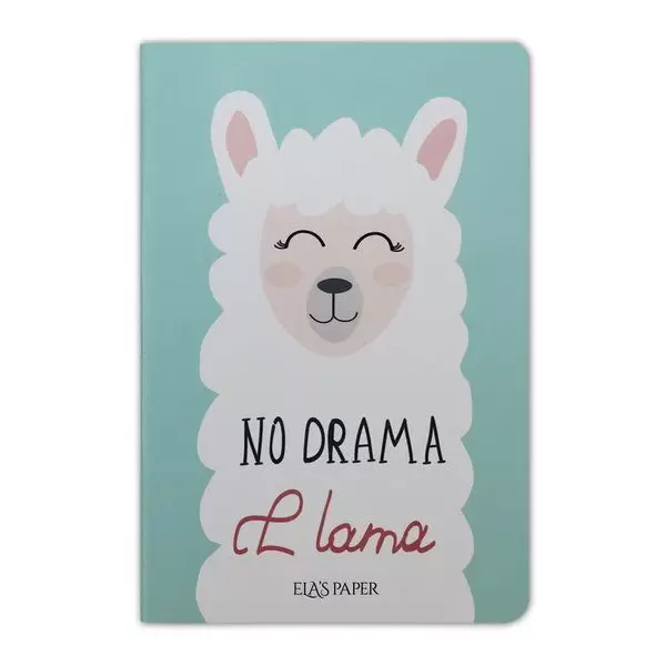 lama-notebook-su-yesili-defter