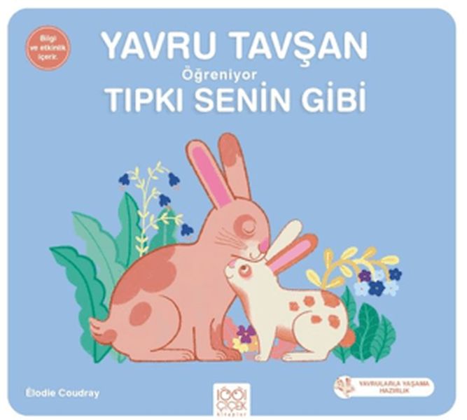 yavru-tavsan-ogreniyor-tipki-senin-gibi