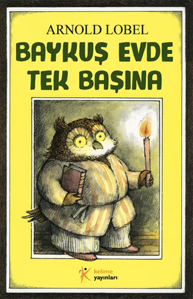 baykus-evde-tek-basina