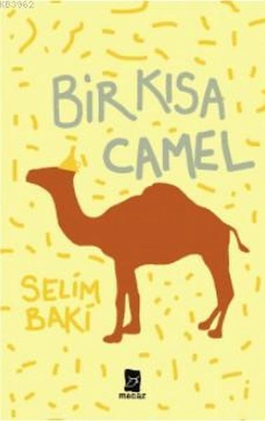 bir-kisa-camel