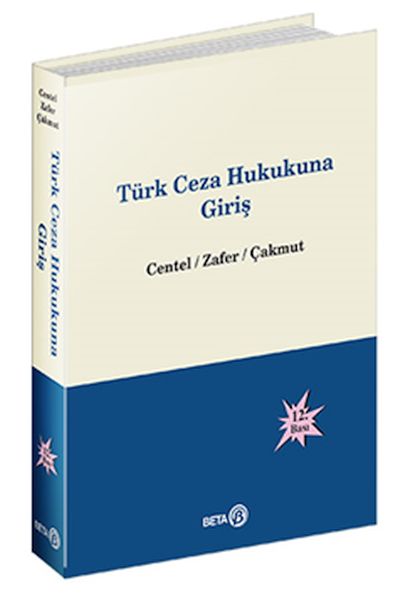 turk-ceza-hukukuna-giris