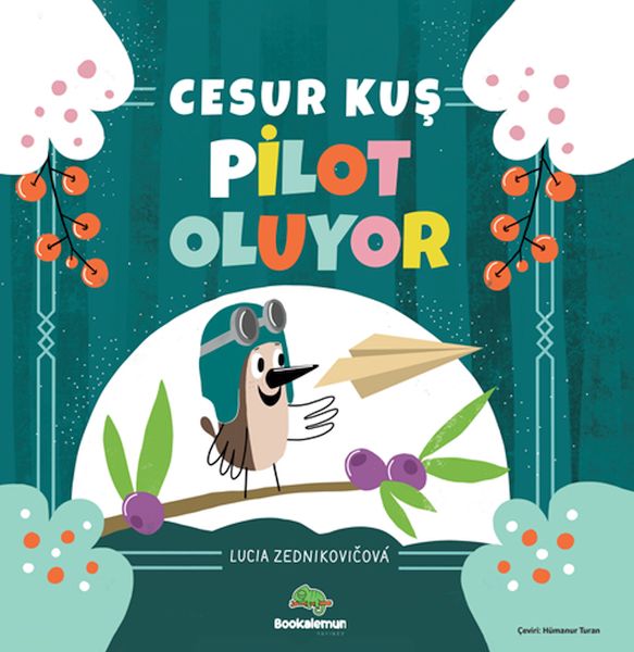 cesur-kus-pilot-oluyor